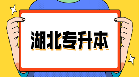 湖北网教如何选择专业？