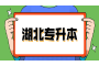 湖北远程教育可以在网上报名吗？
