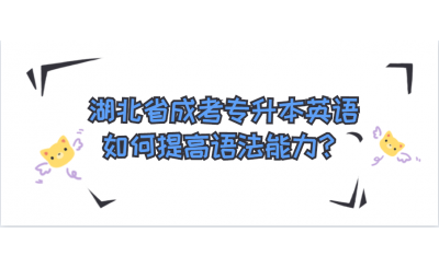 湖北省成考专升本英语如何提高语法能力？