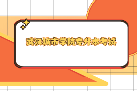 武汉城市学院专升本考试.jpg