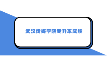 武汉传媒学院专升本成绩.jpg