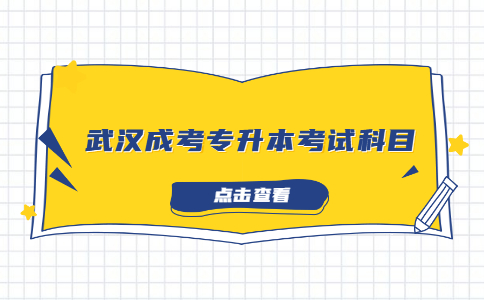 武汉成考专升本考试科目.jpg