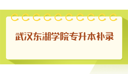 武汉东湖学院专升本补录.jpg