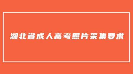 2022年湖北省成人高考考生头像照片采集要求