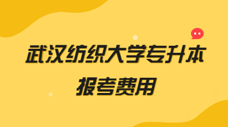 2023年武汉纺织大学专升本报考费用
