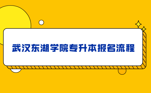 武汉东湖学院专升本报名流程.jpg