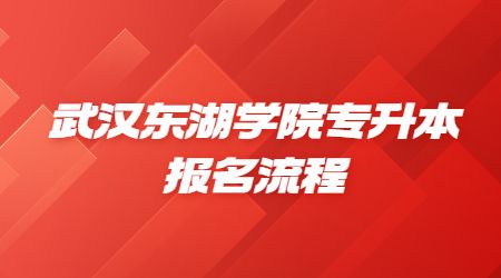武汉东湖学院专升本报名流程