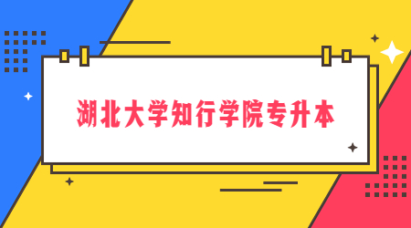 湖北大学知行学院专升本录取率高吗？