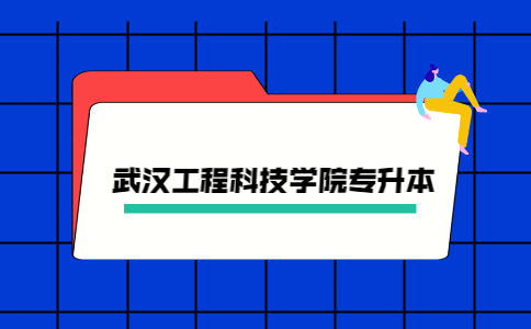 武汉工程科技学院专升本录取率！