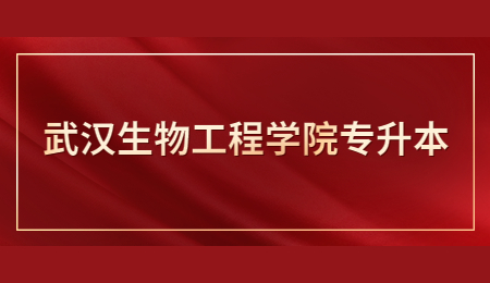 2023年武汉生物工程学院退役大学生士兵专升本综合考查方案