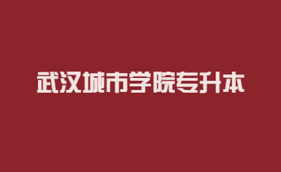 2023年武汉城市学院专升本电子商务专业考试大纲
