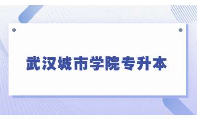 2023年武汉城市学院专升本会计学专业考试大纲