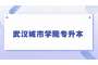 2023年武汉城市学院专升本土木工程专业考试大纲