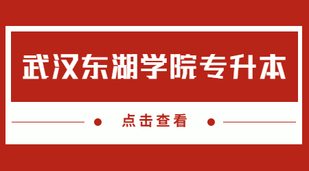 2023年武汉东湖学院专升本报名人数及录取率