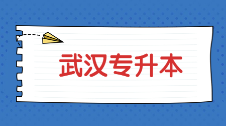 武汉专升本大学