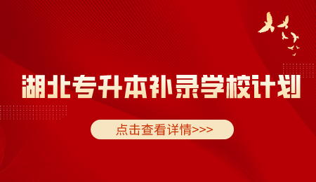 湖北专升本补录学校计划