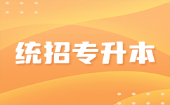 勇攀高峰：湖北统招专升本成功的案例与经验分享