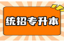 湖北统招专升本考试：从基础知识到考试技巧，全面解析！